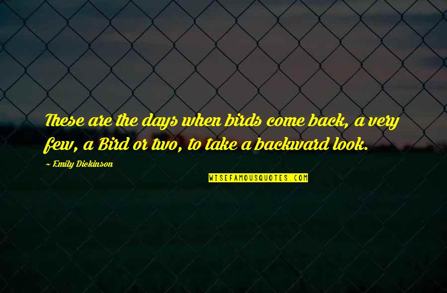 Best Days Are Yet To Come Quotes By Emily Dickinson: These are the days when birds come back,