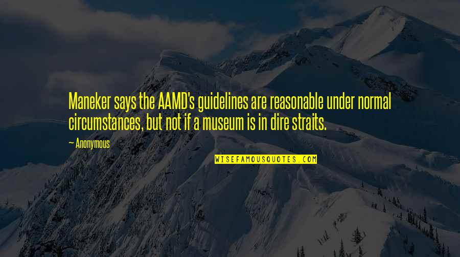 Best Dire Straits Quotes By Anonymous: Maneker says the AAMD's guidelines are reasonable under