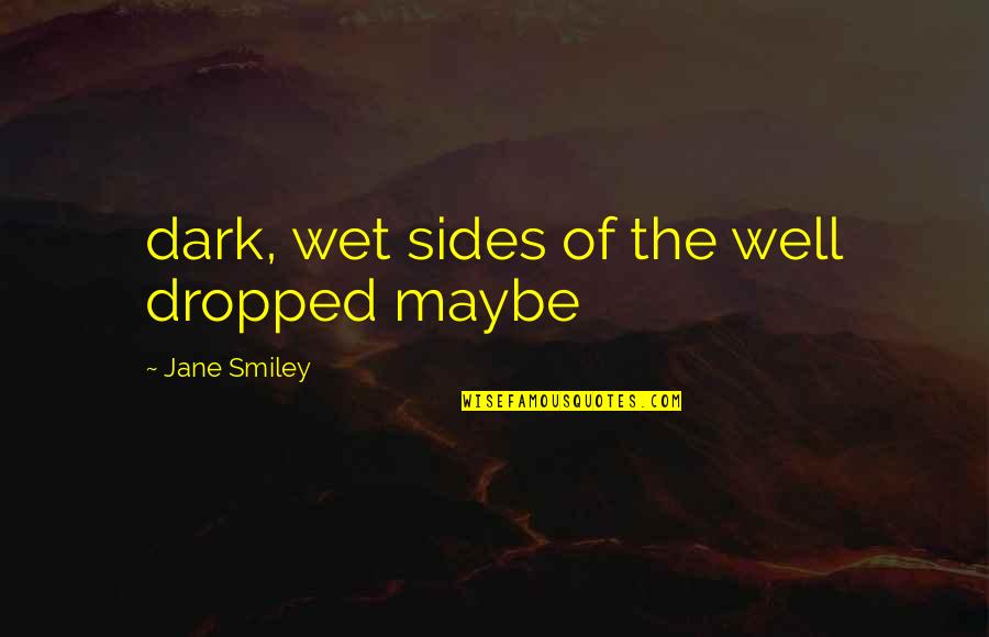 Best Doctor Who Eleventh Quotes By Jane Smiley: dark, wet sides of the well dropped maybe
