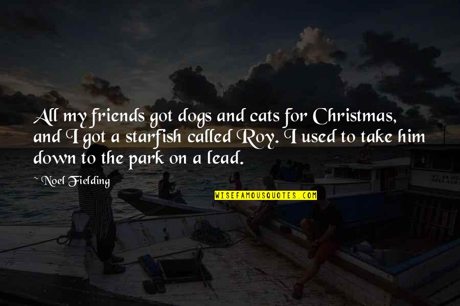 Best Dog And Cat Quotes By Noel Fielding: All my friends got dogs and cats for