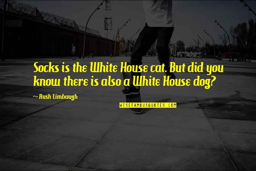Best Dog And Cat Quotes By Rush Limbaugh: Socks is the White House cat. But did