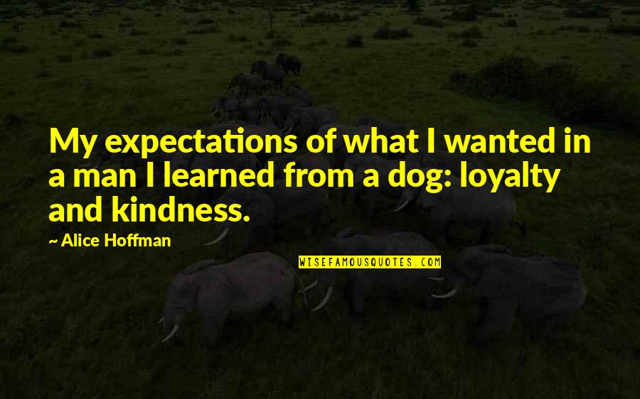 Best Dog And Man Quotes By Alice Hoffman: My expectations of what I wanted in a