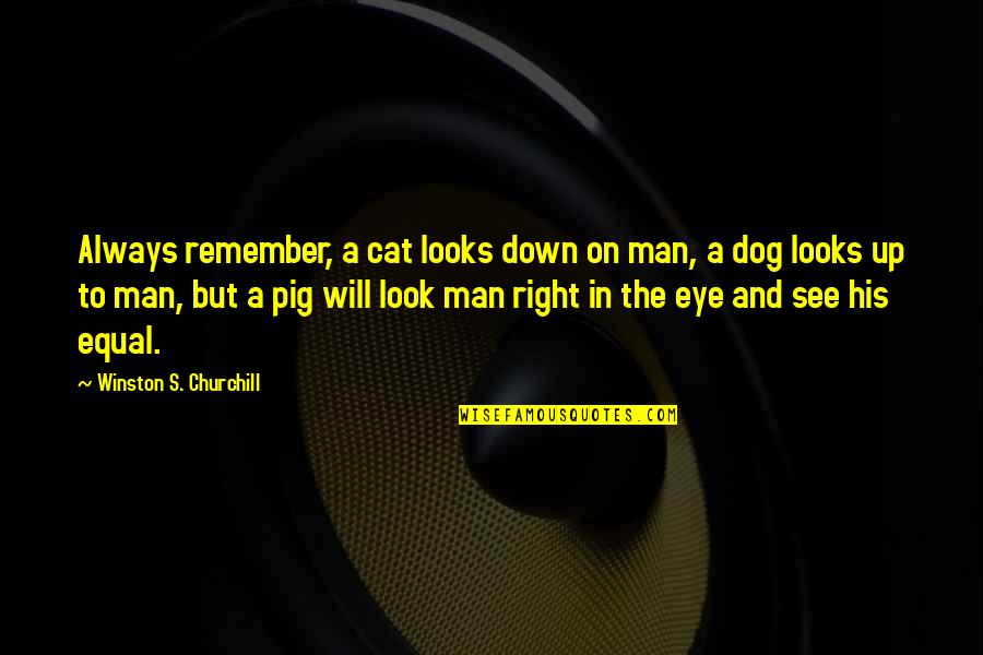 Best Dog And Man Quotes By Winston S. Churchill: Always remember, a cat looks down on man,