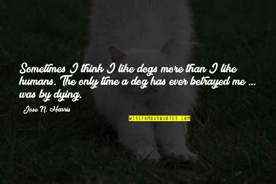 Best Dog Loyalty Quotes By Jose N. Harris: Sometimes I think I like dogs more than
