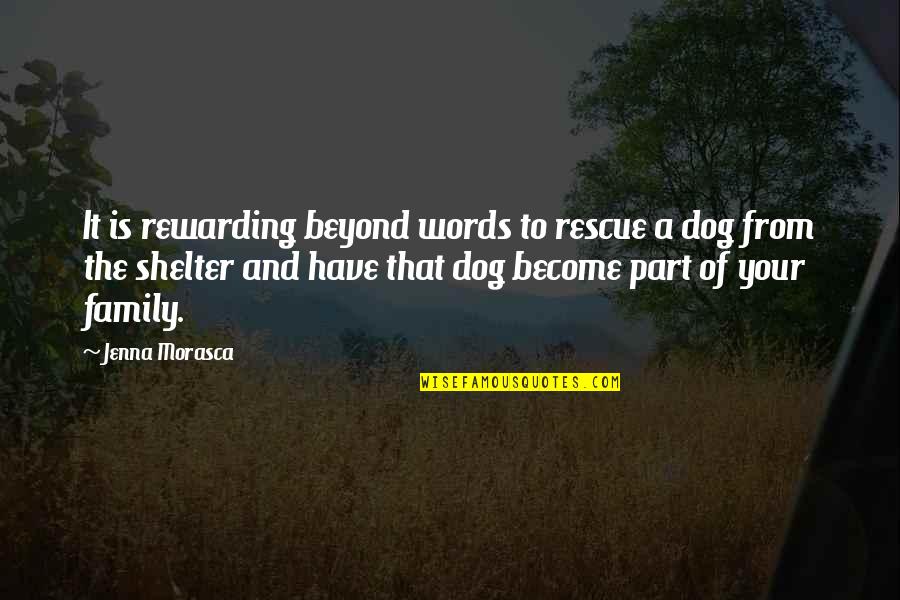 Best Dog Rescue Quotes By Jenna Morasca: It is rewarding beyond words to rescue a