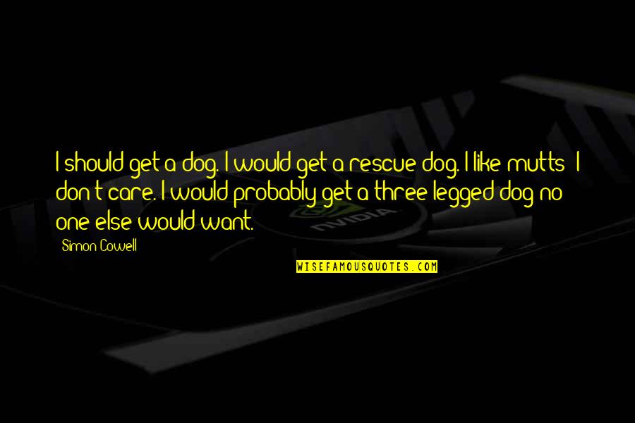 Best Dog Rescue Quotes By Simon Cowell: I should get a dog. I would get
