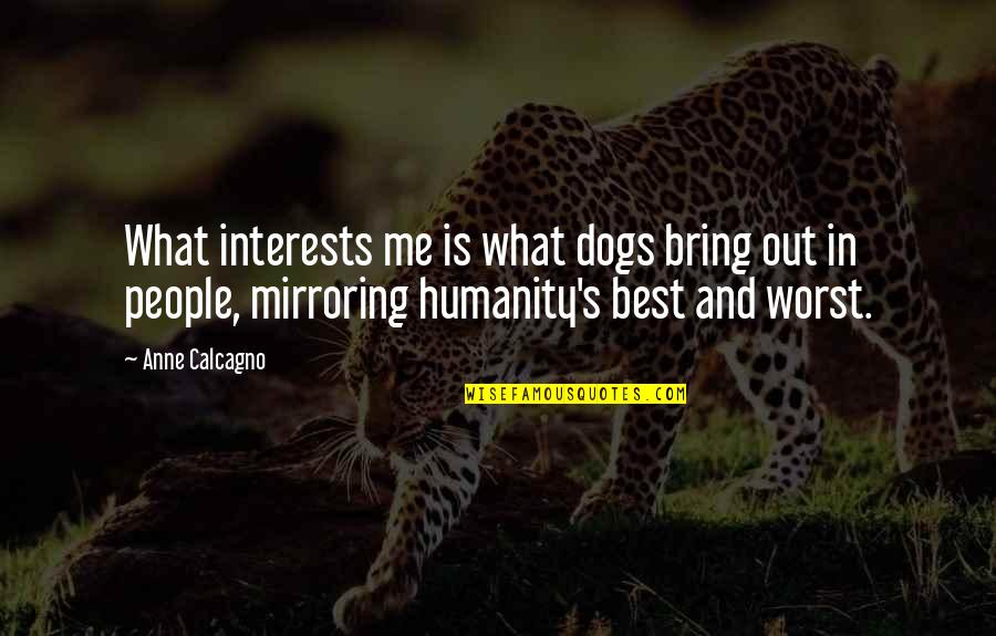 Best Dogs Quotes By Anne Calcagno: What interests me is what dogs bring out