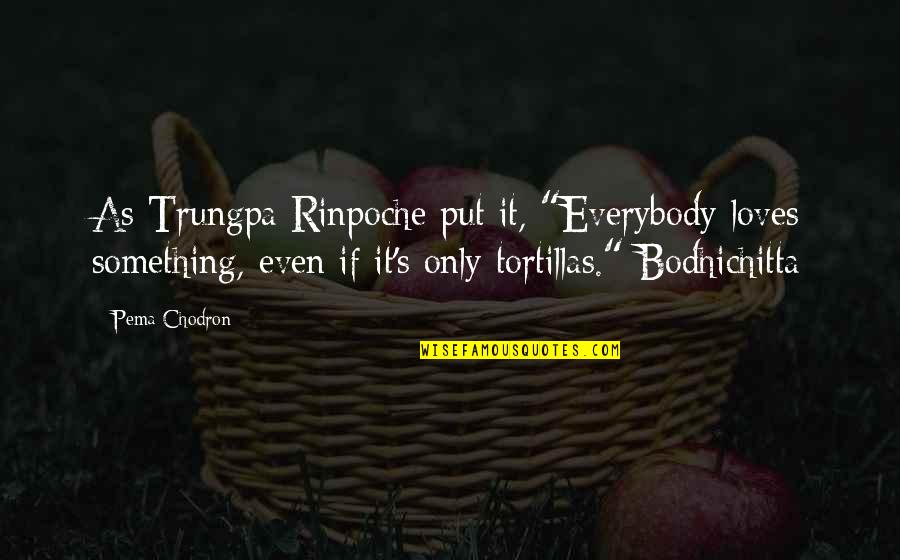 Best Dory Quotes By Pema Chodron: As Trungpa Rinpoche put it, "Everybody loves something, Best Dory Quotes By Pema Chodron: As Trungpa Rinpoche put it, "Everybody loves something,