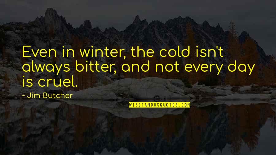 Best Dresden Files Quotes By Jim Butcher: Even in winter, the cold isn't always bitter,