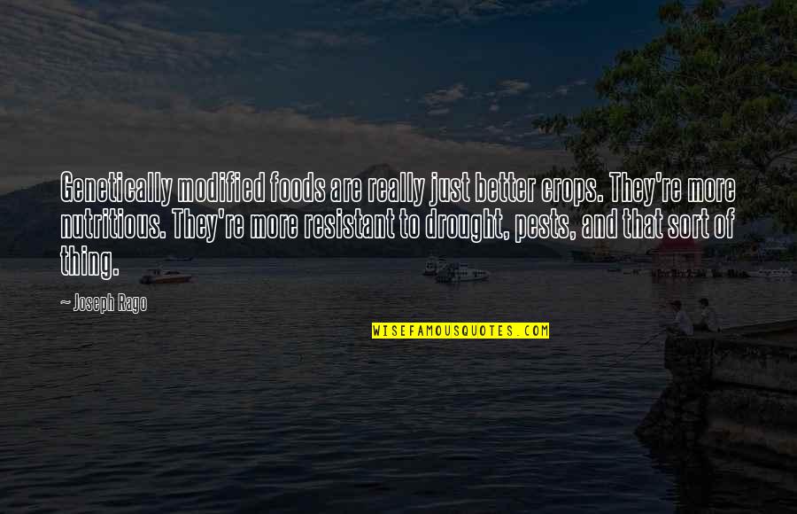 Best Drought 3 Quotes By Joseph Rago: Genetically modified foods are really just better crops.