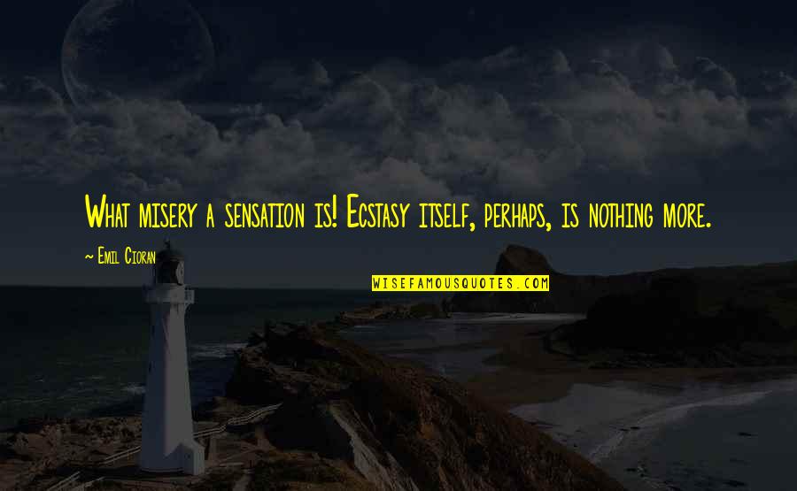 Best Ecstasy Quotes By Emil Cioran: What misery a sensation is! Ecstasy itself, perhaps,