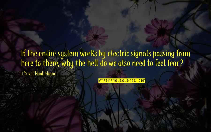 Best Electric Quotes By Yuval Noah Harari: If the entire system works by electric signals