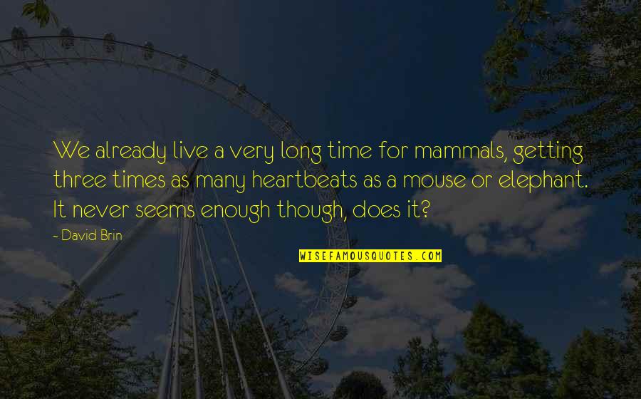 Best Elephant Quotes By David Brin: We already live a very long time for Best Elephant Quotes By David Brin: We already live a very long time for