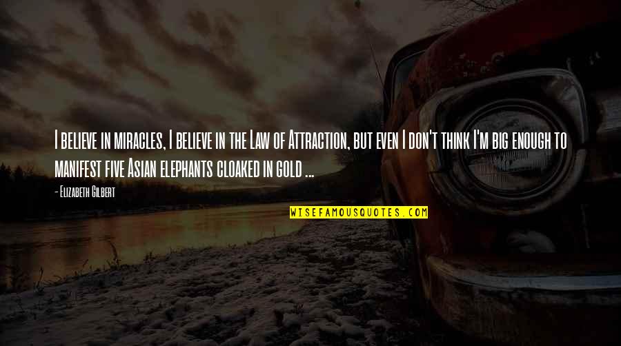 Best Elephants Quotes By Elizabeth Gilbert: I believe in miracles, I believe in the