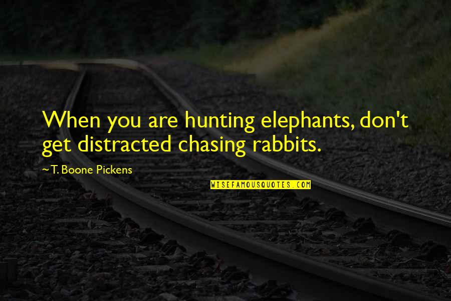 Best Elephants Quotes By T. Boone Pickens: When you are hunting elephants, don't get distracted
