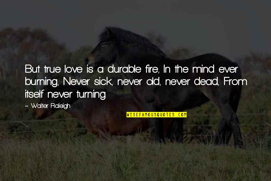 Best Ever Romantic Love Quotes By Walter Raleigh: But true love is a durable fire, In