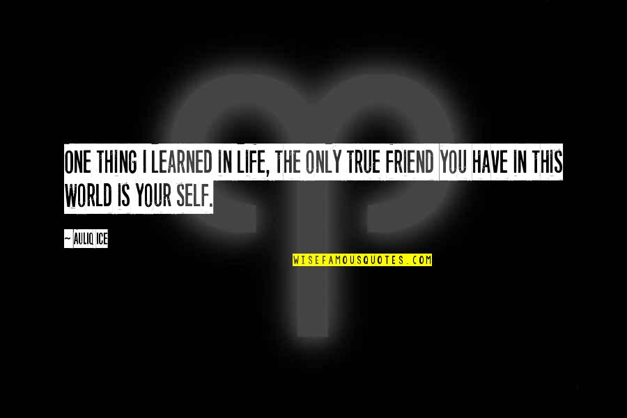 Best Ever True Friendship Quotes By Auliq Ice: One thing I learned in life, the only