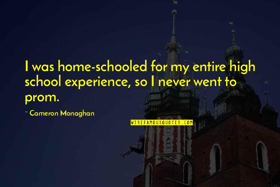 Best Experience In School Quotes By Cameron Monaghan: I was home-schooled for my entire high school