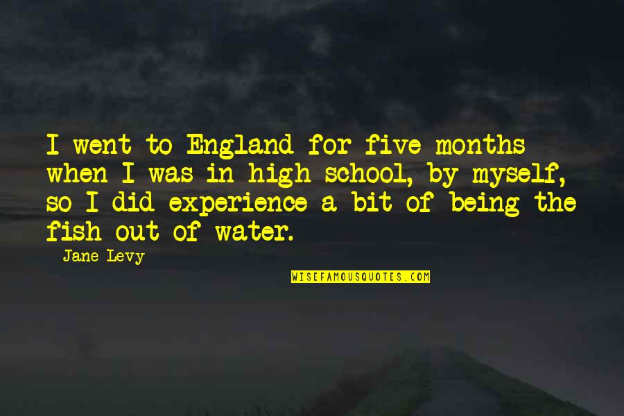 Best Experience In School Quotes By Jane Levy: I went to England for five months when