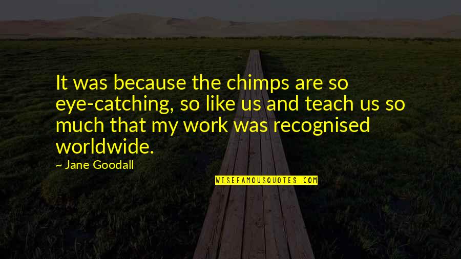 Best Eye Catching Quotes By Jane Goodall: It was because the chimps are so eye-catching,