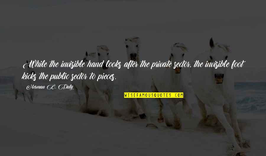 Best Facebook Bio Quotes By Herman E. Daly: While the invisible hand looks after the private Best Facebook Bio Quotes By Herman E. Daly: While the invisible hand looks after the private