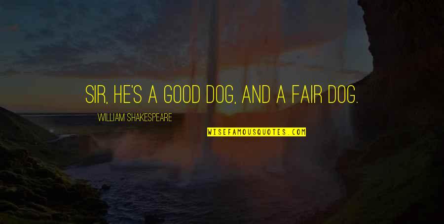 Best Fairness Quotes By William Shakespeare: Sir, he's a good dog, and a fair