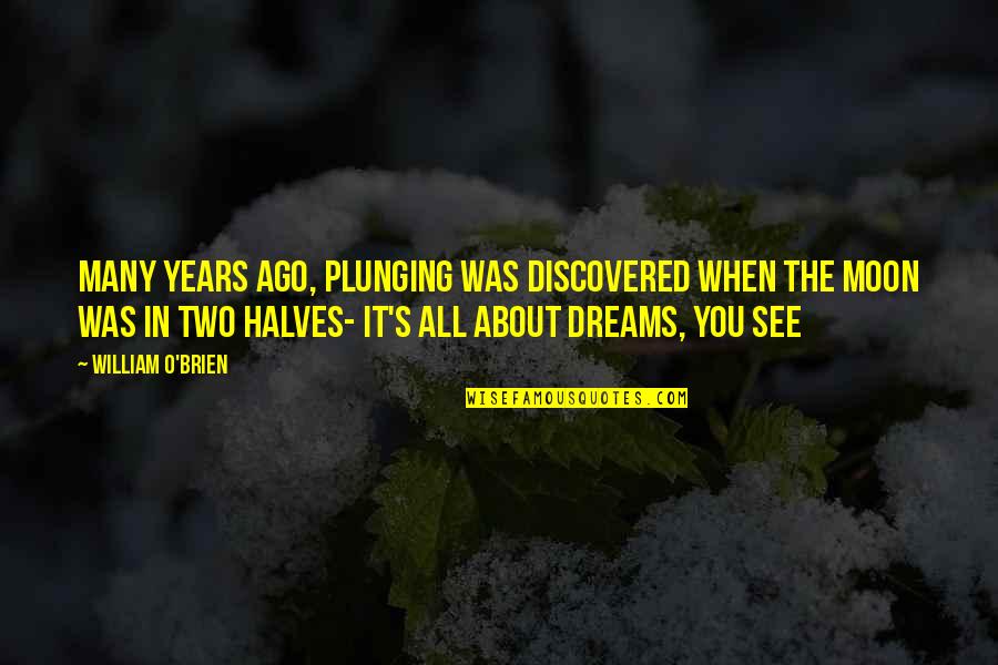 Best Fairytale Quotes By William O'Brien: Many years ago, plunging was discovered when the
