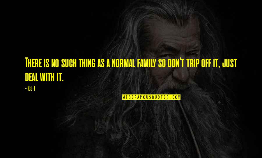 Best Family Trip Quotes By Ice-T: There is no such thing as a normal