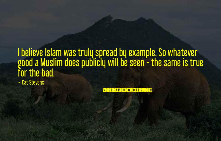 Best Fawful Quotes By Cat Stevens: I believe Islam was truly spread by example. Best Fawful Quotes By Cat Stevens: I believe Islam was truly spread by example.