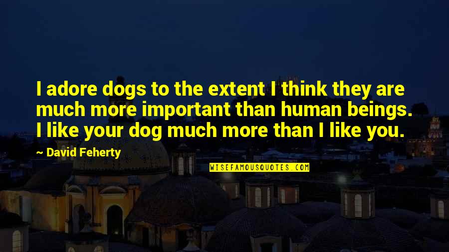 Best Feherty Quotes By David Feherty: I adore dogs to the extent I think