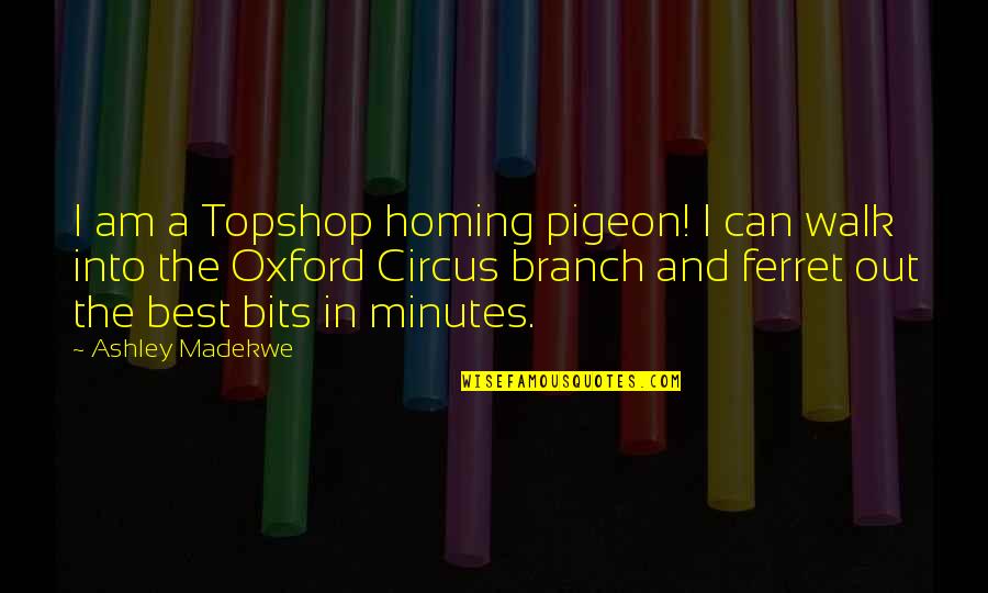 Best Ferret Quotes By Ashley Madekwe: I am a Topshop homing pigeon! I can