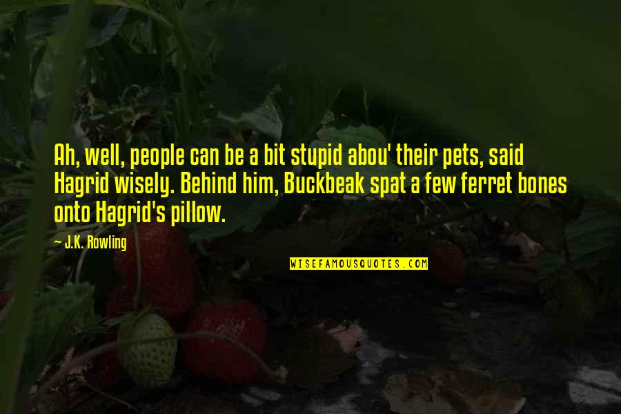 Best Ferret Quotes By J.K. Rowling: Ah, well, people can be a bit stupid