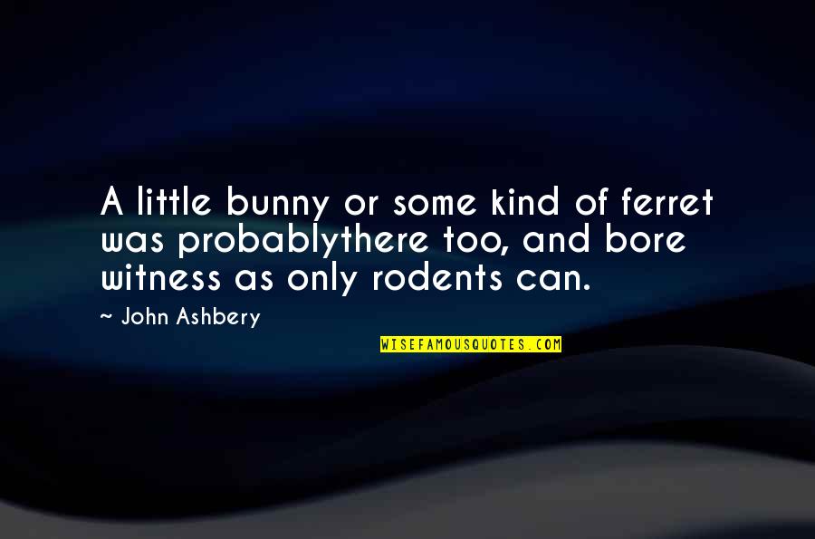 Best Ferret Quotes By John Ashbery: A little bunny or some kind of ferret