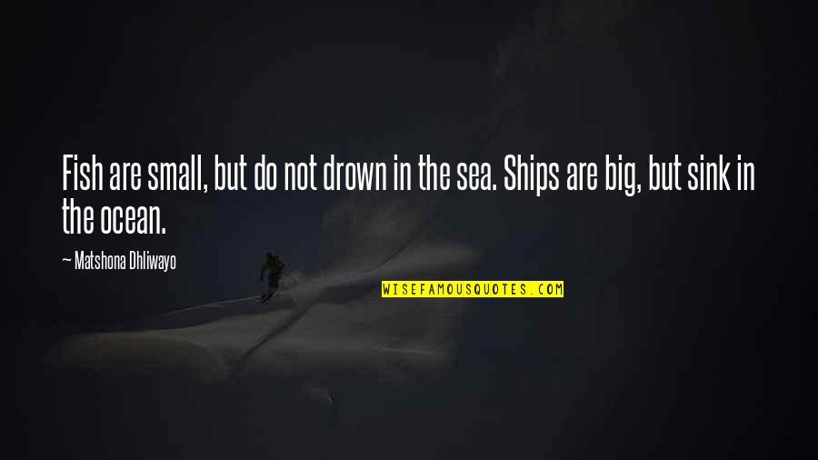 Best Ffa Quotes By Matshona Dhliwayo: Fish are small, but do not drown in