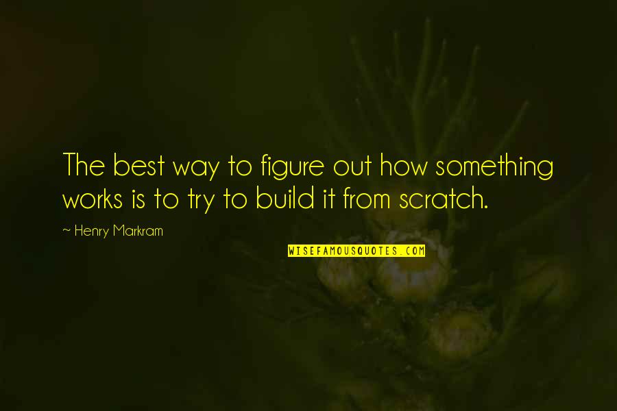 Best Figure Quotes By Henry Markram: The best way to figure out how something