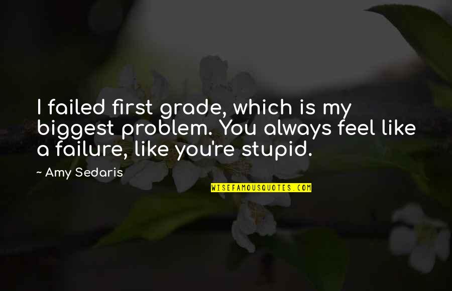 Best First Grade Quotes By Amy Sedaris: I failed first grade, which is my biggest