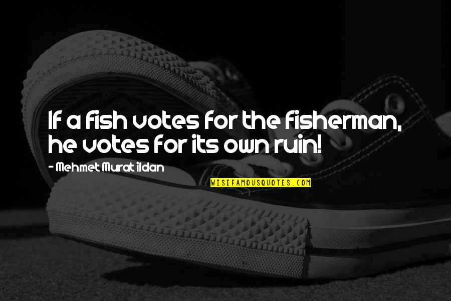 Best Fisherman Quotes By Mehmet Murat Ildan: If a fish votes for the fisherman, he