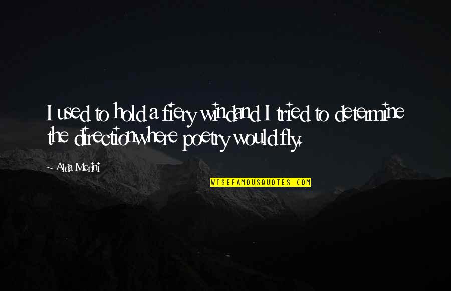 Best Fly Quotes By Alda Merini: I used to hold a fiery windand I