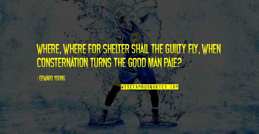 Best Fly Quotes By Edward Young: Where, where for shelter shall the guilty fly,