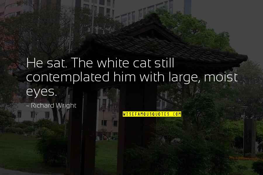 Best Font For Picture Quotes By Richard Wright: He sat. The white cat still contemplated him