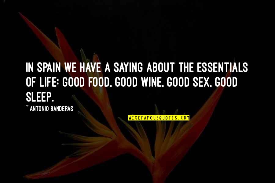 Best Food And Wine Quotes By Antonio Banderas: In Spain we have a saying about the