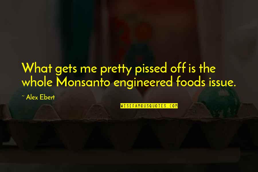Best Foods Quotes By Alex Ebert: What gets me pretty pissed off is the