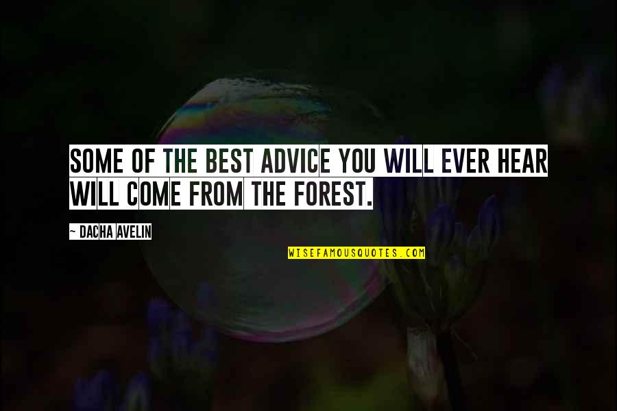 Best Forest Quotes By Dacha Avelin: Some of the best advice you will ever