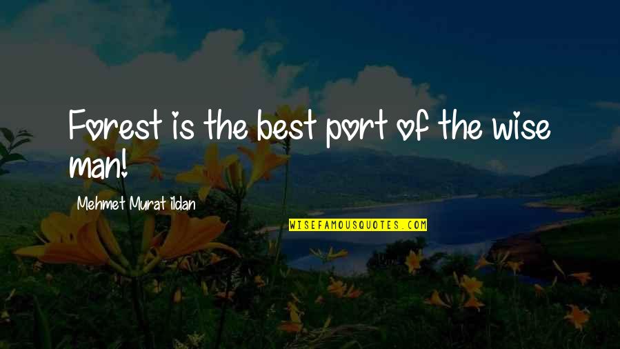 Best Forest Quotes By Mehmet Murat Ildan: Forest is the best port of the wise