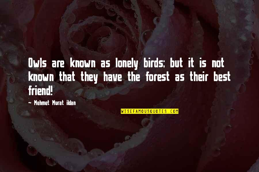 Best Forest Quotes By Mehmet Murat Ildan: Owls are known as lonely birds; but it