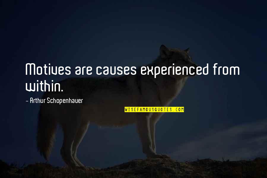 Best Friend And Weirdness Quotes By Arthur Schopenhauer: Motives are causes experienced from within.