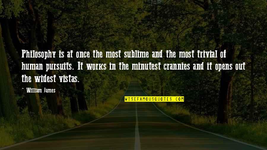 Best Friend Backstabbing Quotes By William James: Philosophy is at once the most sublime and Best Friend Backstabbing Quotes By William James: Philosophy is at once the most sublime and