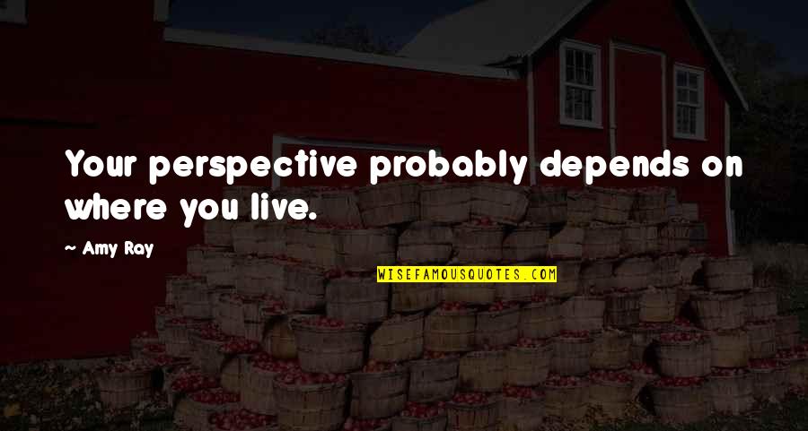 Best Friend Choosing Boyfriend Over You Quotes By Amy Ray: Your perspective probably depends on where you live.