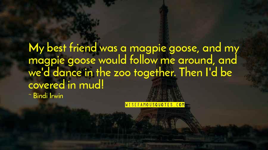 Best Friend Dance Quotes By Bindi Irwin: My best friend was a magpie goose, and