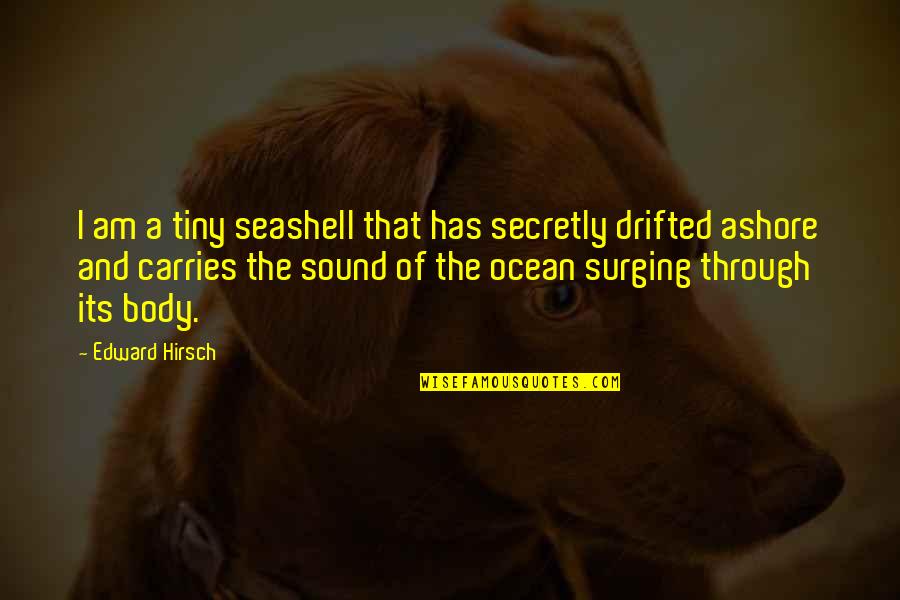 Best Friend Ditched Me Quotes By Edward Hirsch: I am a tiny seashell that has secretly Best Friend Ditched Me Quotes By Edward Hirsch: I am a tiny seashell that has secretly